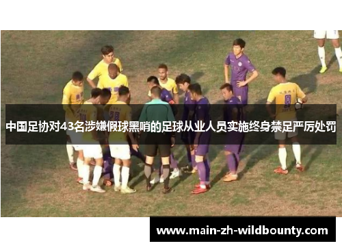 中国足协对43名涉嫌假球黑哨的足球从业人员实施终身禁足严厉处罚